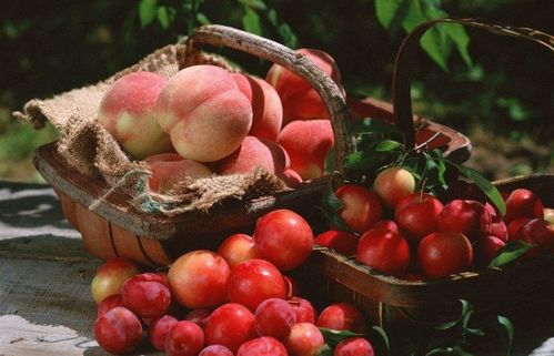 决战三伏天，你准备好了吗？精选果品助你清凉一夏