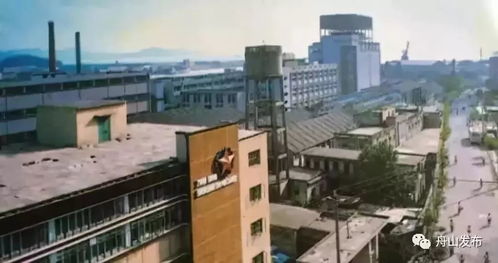 满满的回忆 这些珍贵的舟山老照片，唤醒了多少人的蔬菜零售记忆