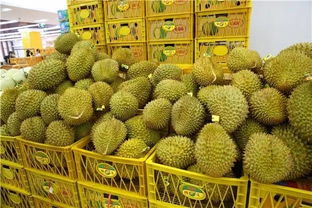 无锡水果行遭果农“甜蜜袭击” 开业豪掷800万福利，榴莲9.9元/斤引爆全城