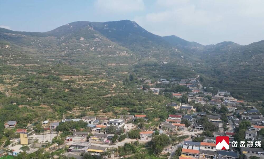 岱岳区道朗镇 林果经济与蔬菜零售双轮驱动，绘就美丽乡村新画卷