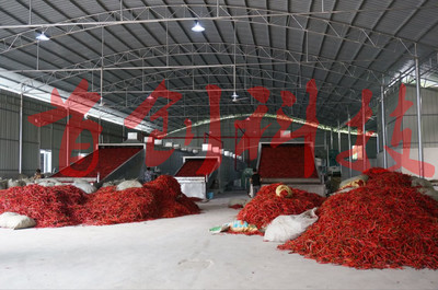 辣椒烘干机在果品加工中的高效应用与优势