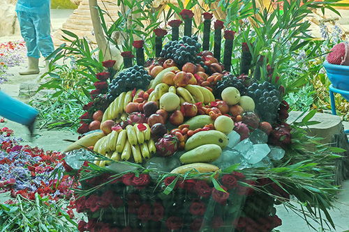 亚布力熊猫馆为大熊猫思嘉庆生 果品盛宴传递温暖祝福